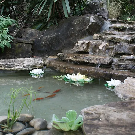 公寓 Mandolina 扎达尔