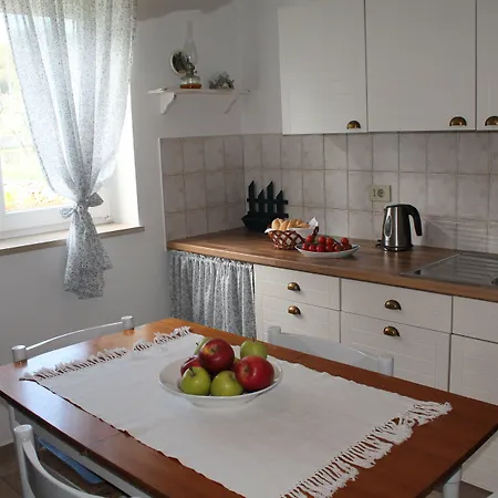 公寓 Mandolina 扎达尔