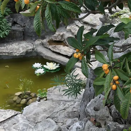 Mandolina 公寓 扎达尔