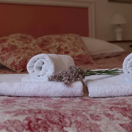 Mandolina 公寓 扎达尔