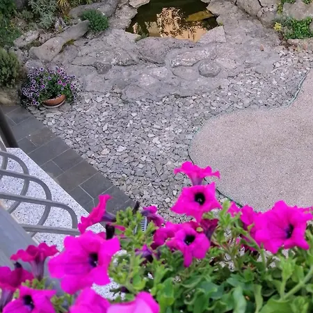 Apartman Mandolina Zára