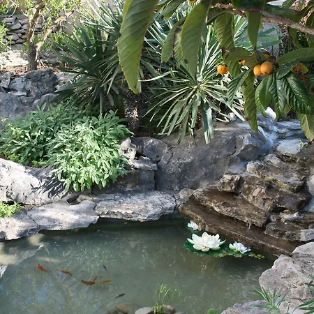 Apartman Mandolina *