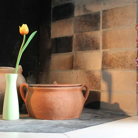 Apartament Mandolina