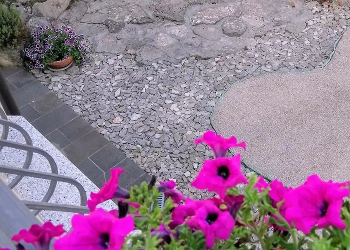 Lejlighed Mandolina Zadar