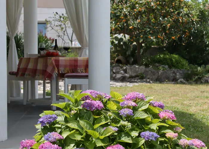 Mandolina Lejlighed *