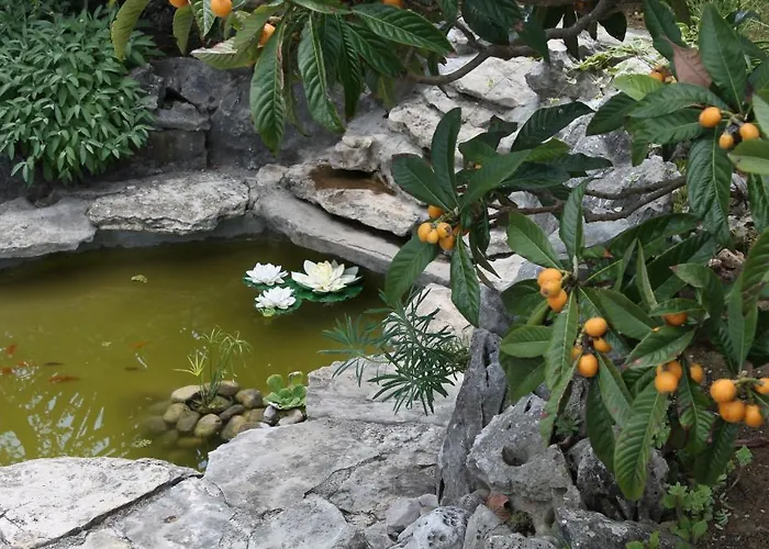 Mandolina Lejlighed Zadar