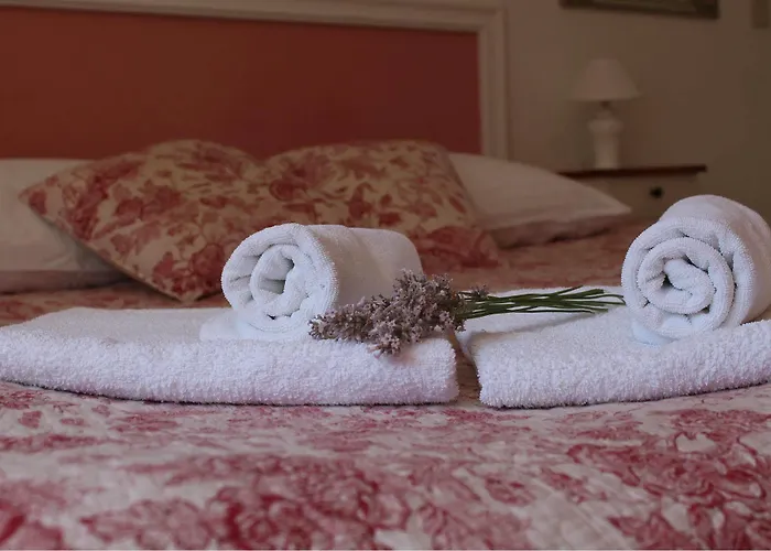 Mandolina Lejlighed Zadar